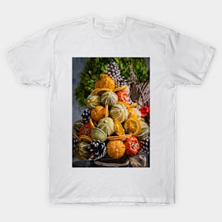 Display of Seasonal Dried Fruits T-Shirt